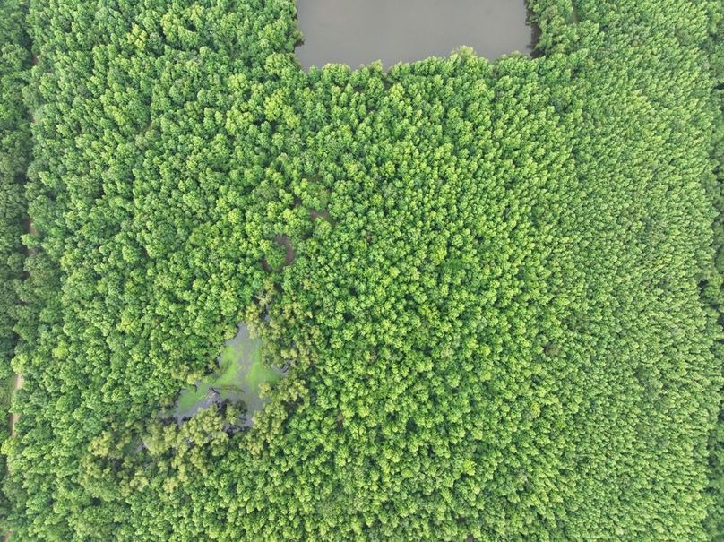 dji_fly_20260523_120156_482_1779631853846_photo