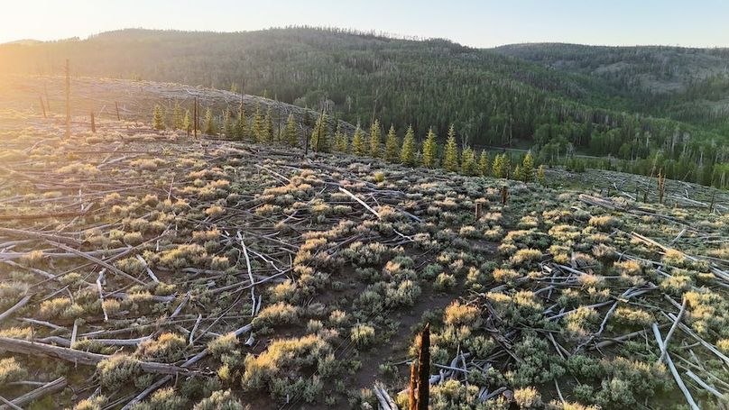 DJI_20250627202238_0093_D