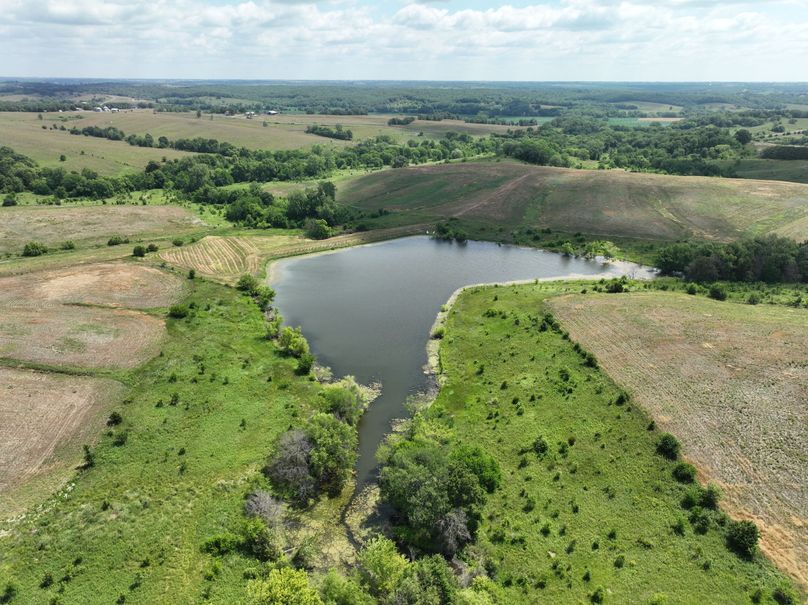 dji_fly_20230625_115118_462_1687717445167_photo