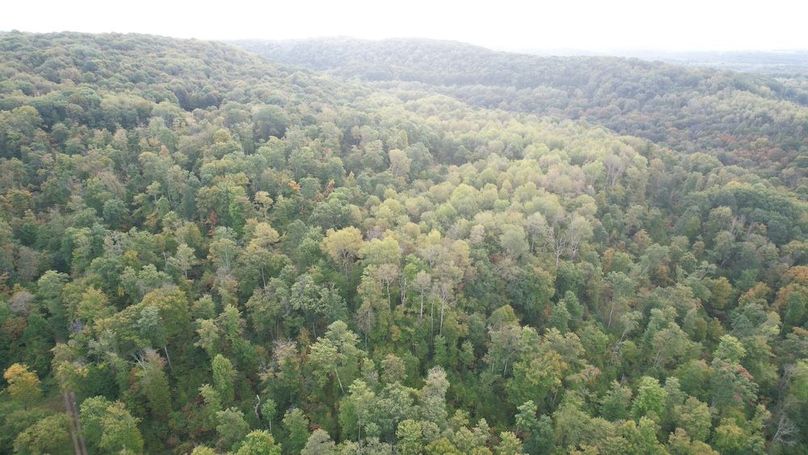 dji_fly_20240919_084952_666_1726752720660_photo