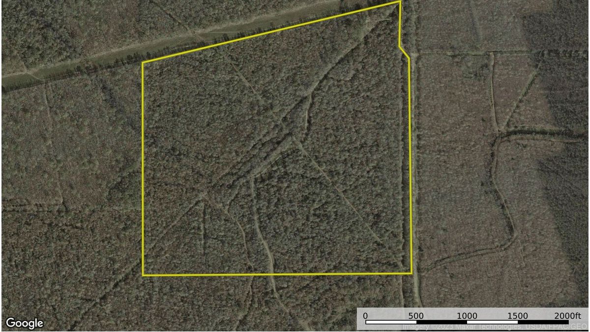 Bottomland Hardwood Timber Tract With Cozy Cabin Whitetail Properties