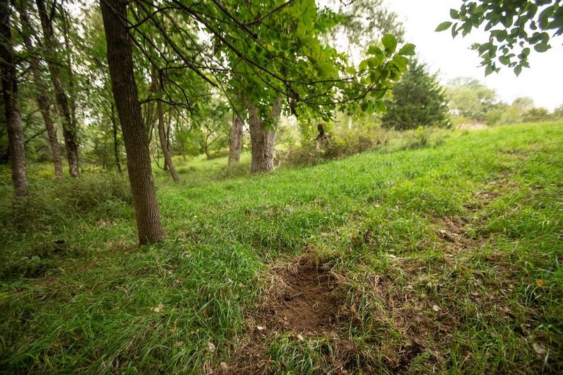 FREMONT CO IA 159.05_23