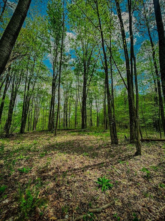 Doddridge, WV 64.69 AC Davis-11