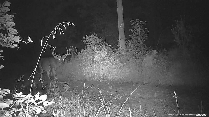 310786750_509002527791207_5898744651340383489_n