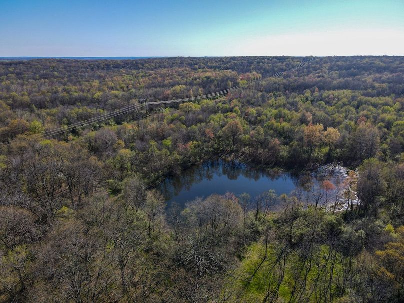 vandalia 450 (2)-2506