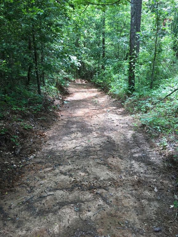 5B625A11-DF34-484C-9416-161AEE749941_1_105_c