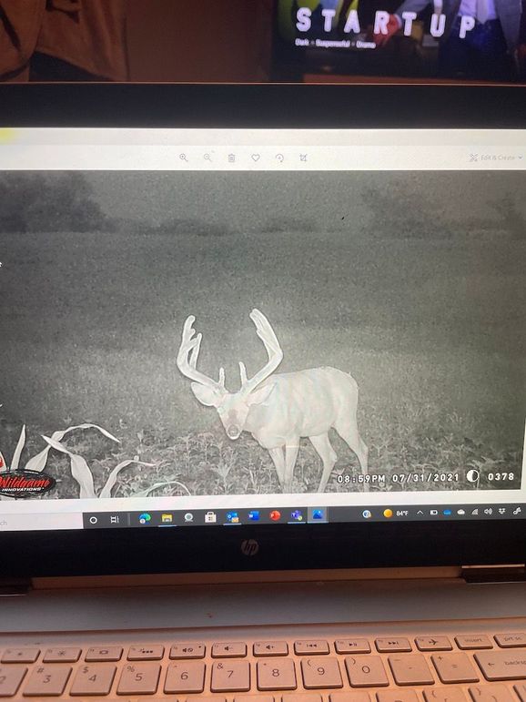 65042379514__AE0B8A5A-FF36-4A62-8023-3902A3557968