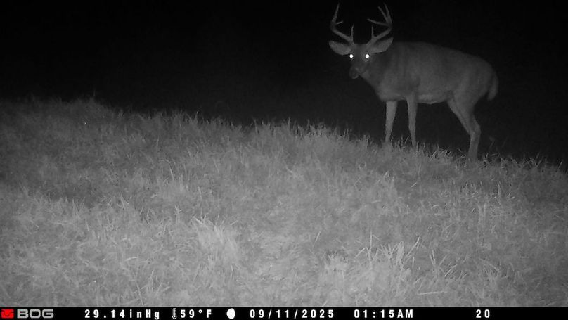 TRAIL CAM 4