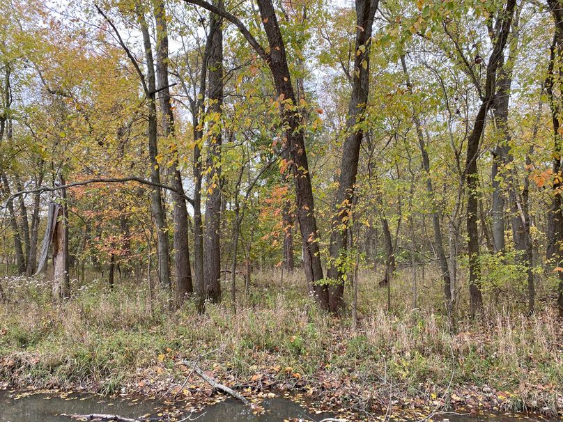 pics from late 2021 and early 2022. New plots being planted in Aug 2023 for new pics (9)