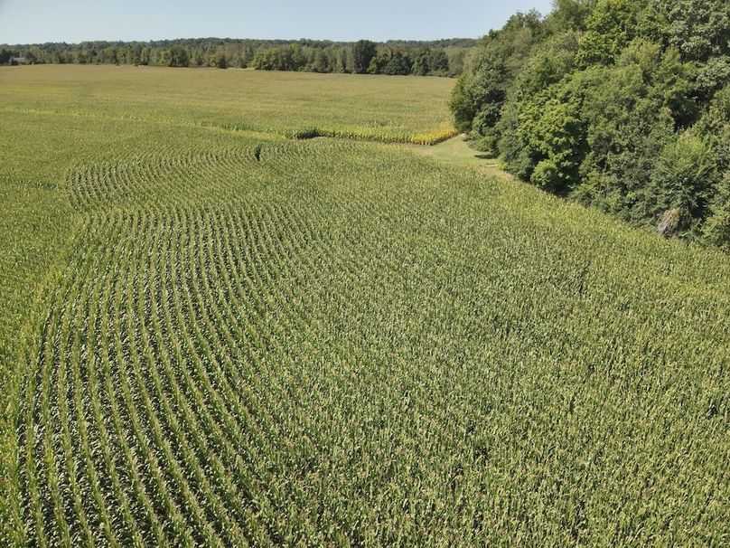 DJI_20240823235559_0016_V