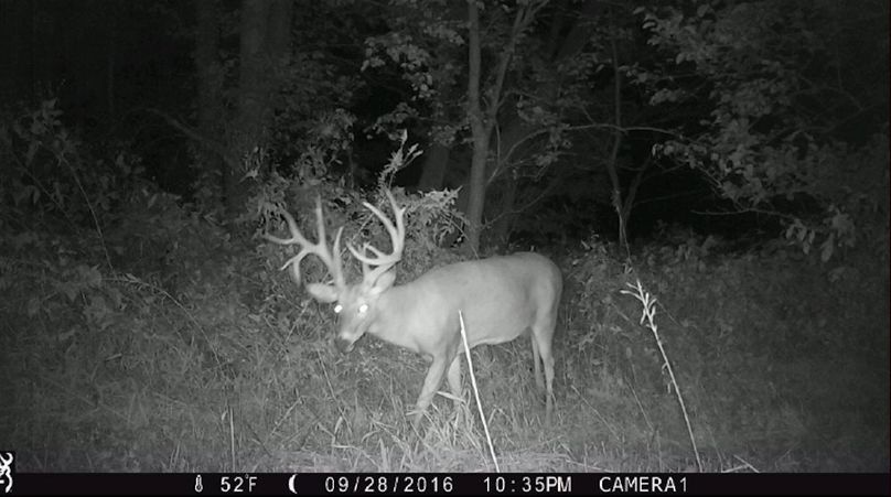 Copy of greene92 trail.31