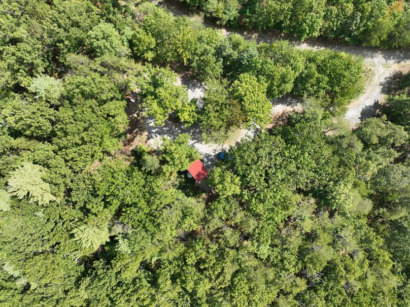 20_13.39_Alleghany_VA