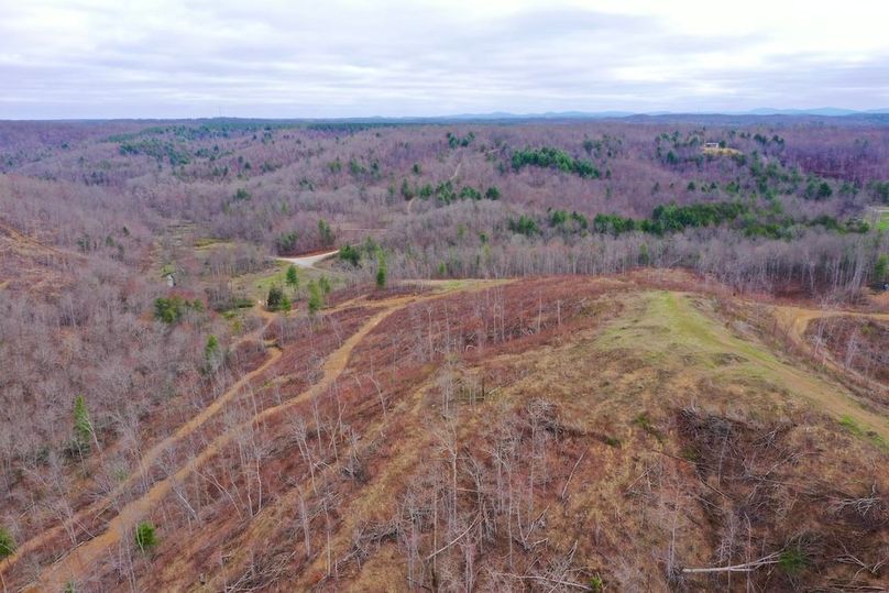 DJI_0452