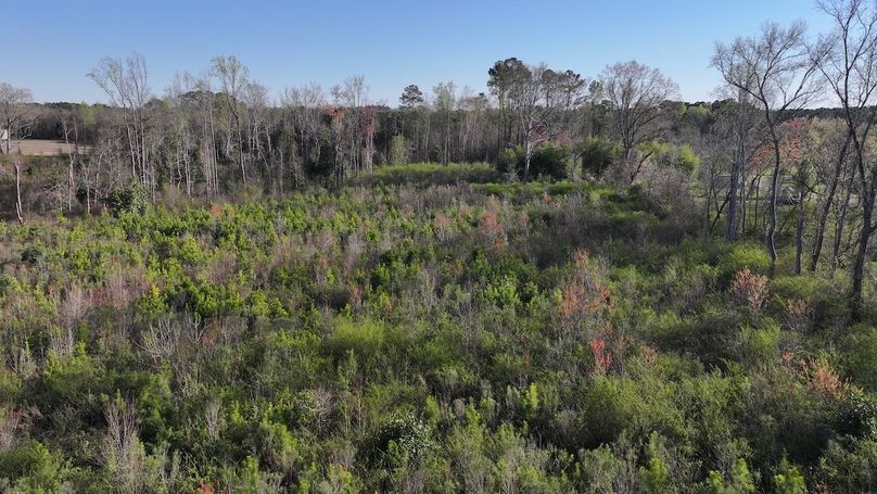 DJI_20240321173558_0067_D