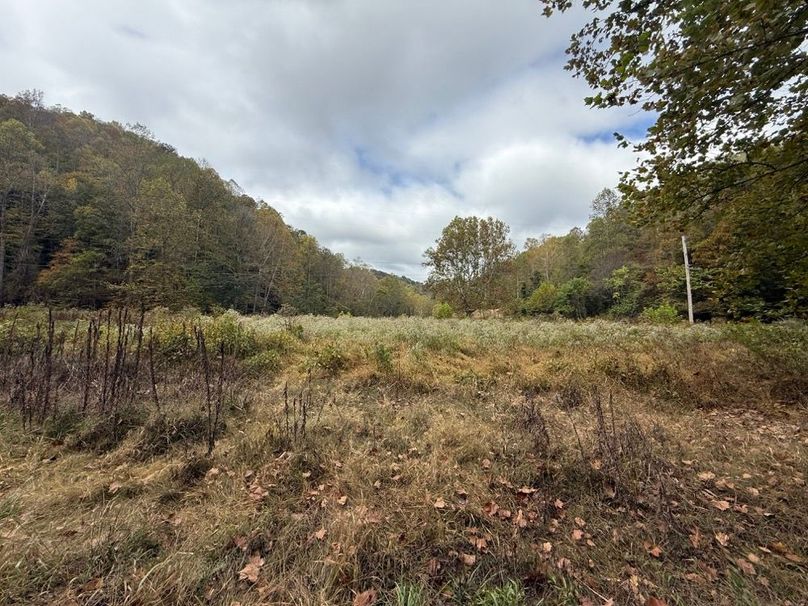 027 the main field area in the north part of the property