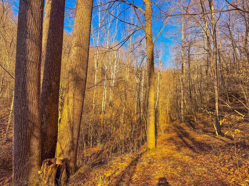 Lewis, WV 82.87 AC Barger-60