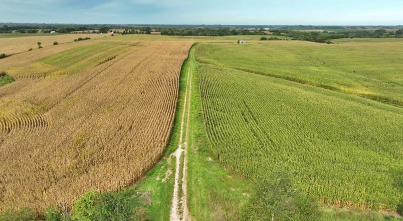 Screenshot 2025-09-05 at 1.56.48 PM