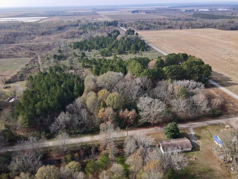 dji_fly_20251205_124722_916_1765034358154_photo