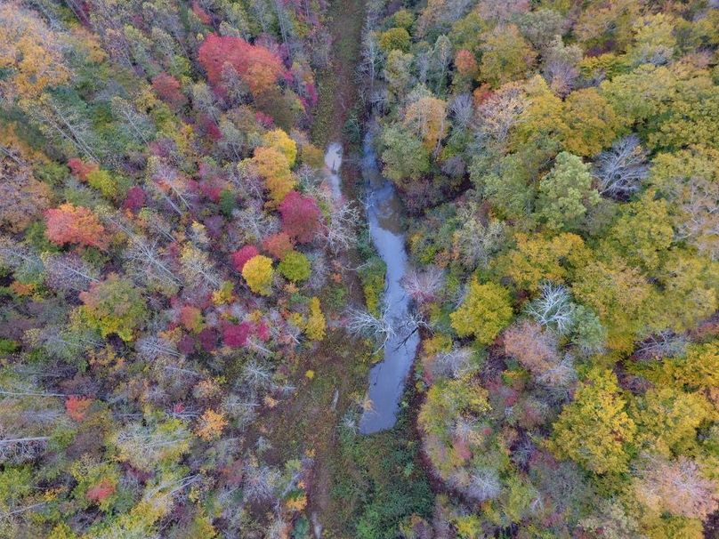 011 drone shot directly overhead of timber pond and beautiful fall foliage