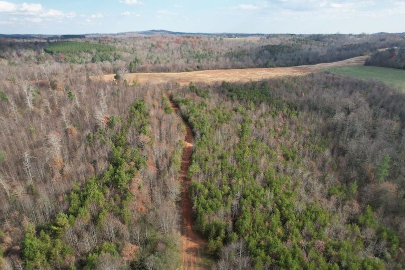 dji_fly_20251120_024402_945_1763686301482_photo