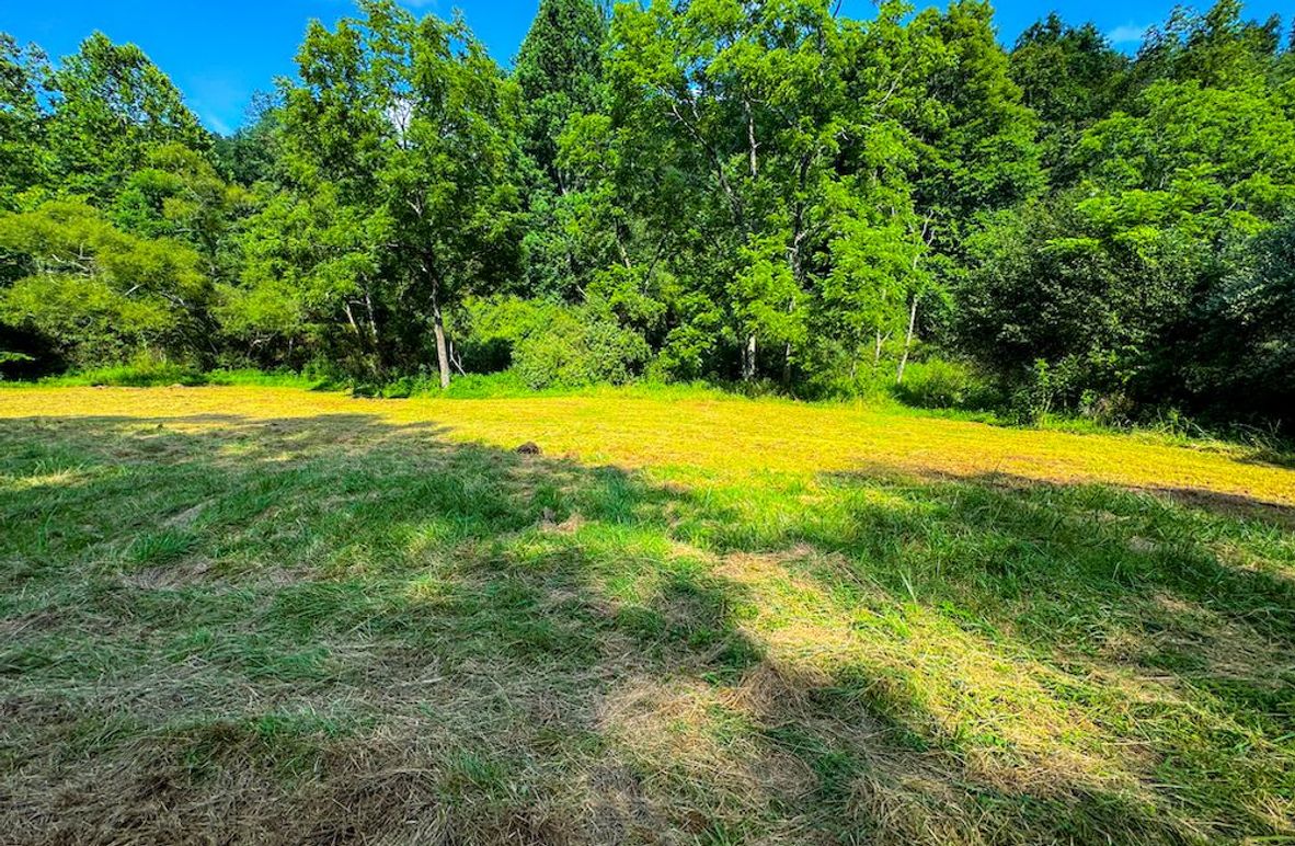 Lewis, WV 105 AC Miller-81