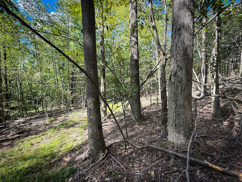 Tompkins_103.12_SusquehannaLandCo_Photos_13