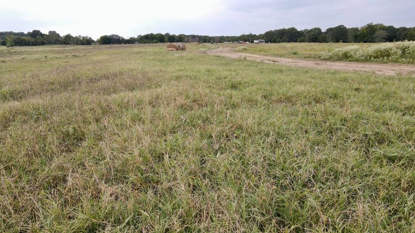 dji_fly_20230916_162058_119_1694899276048_photo