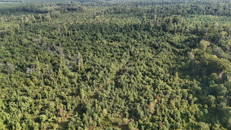 Copy of DJI_20250814085149_0054_D