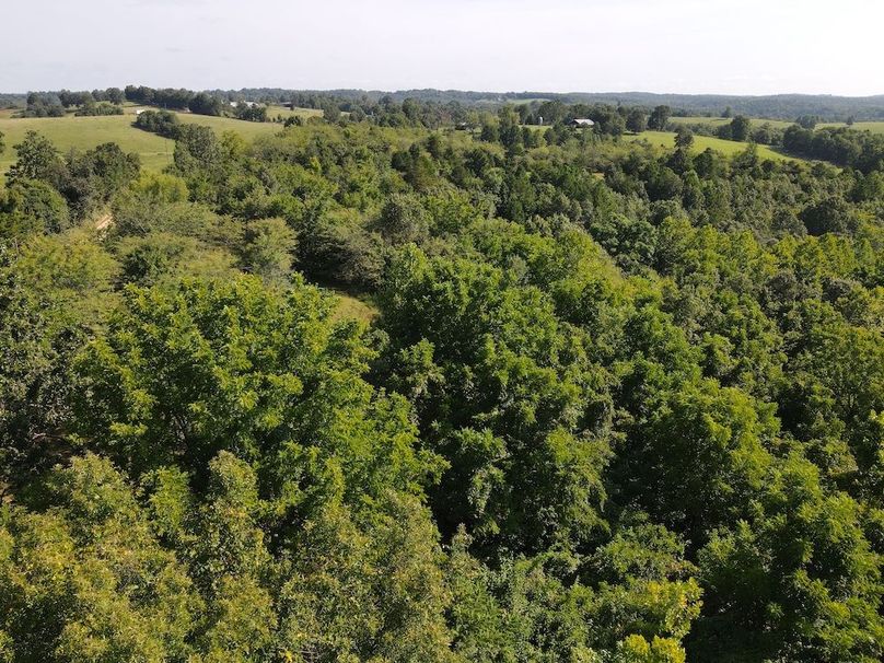 dji_fly_20240808_094856_285_1723128586247_photo