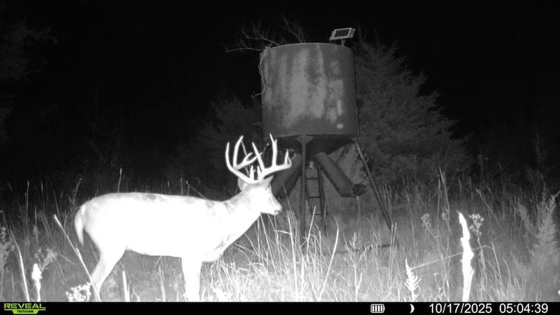 016578004503154-100-2-10172025050439-SYFW15145