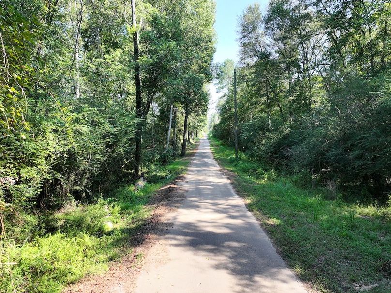 dji_fly_20250903_101214_0386_1757089046854_photo