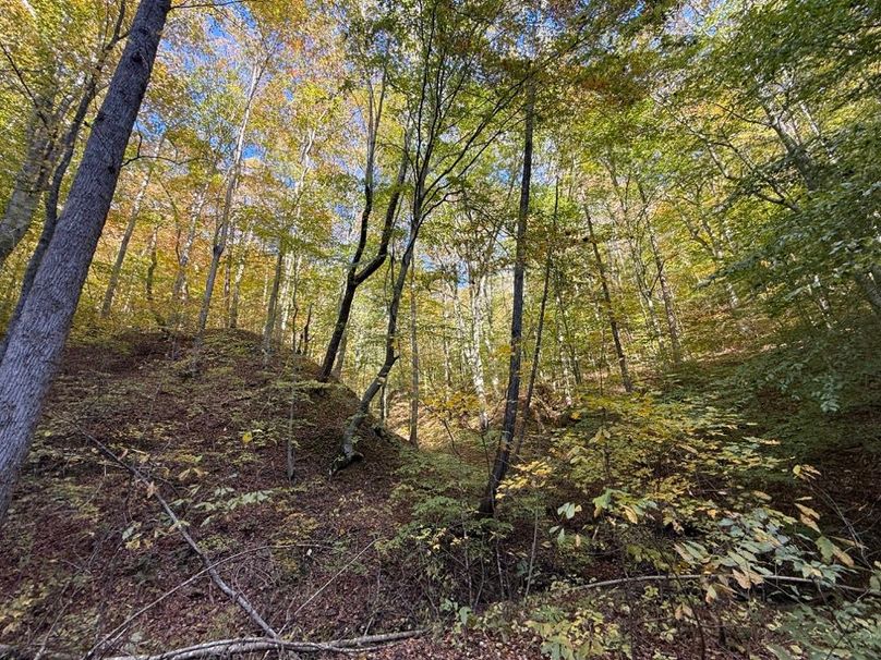 028 interesting contours in the bottom of the valley