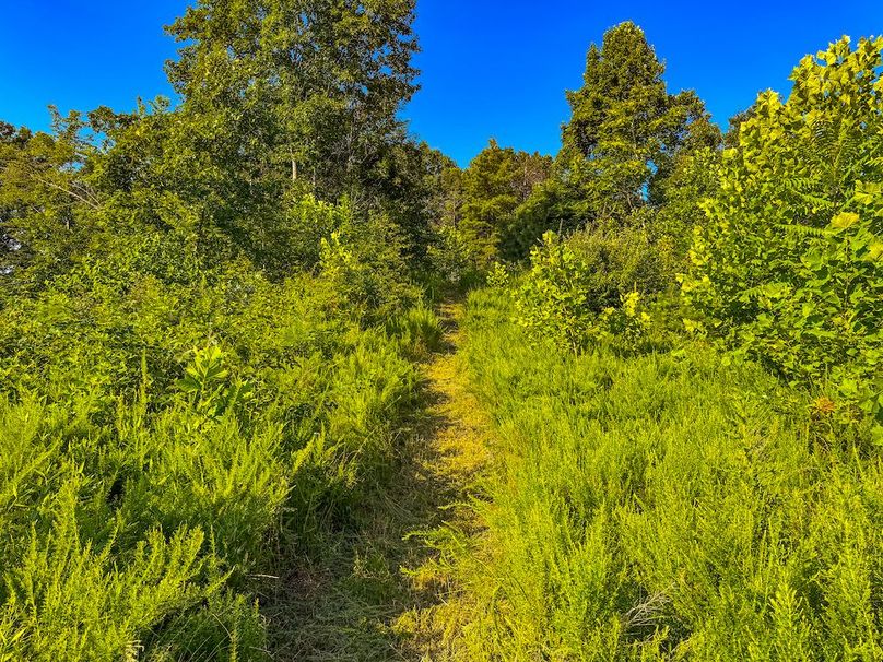 Lewis, WV 82.87 AC Barger-072