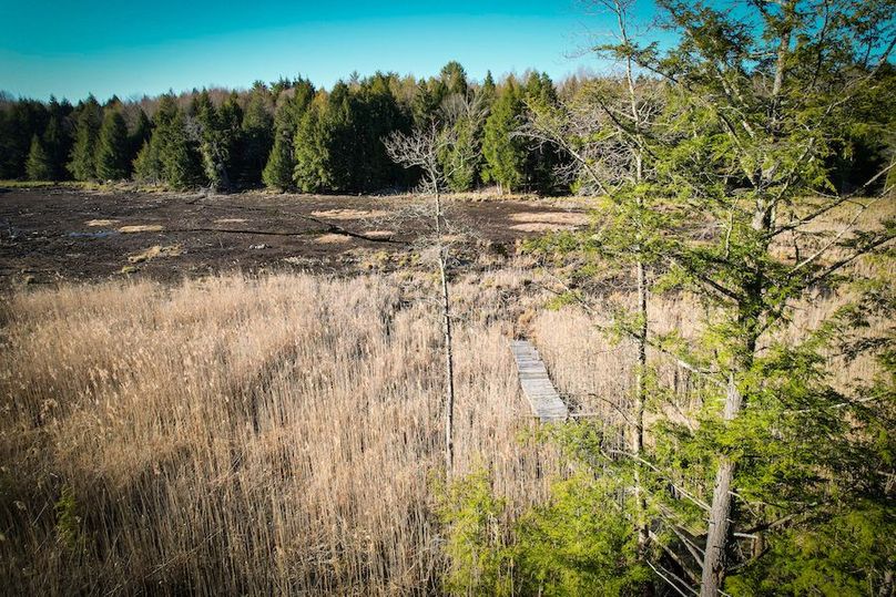 Oswego_17.88_Feld_Photos_61