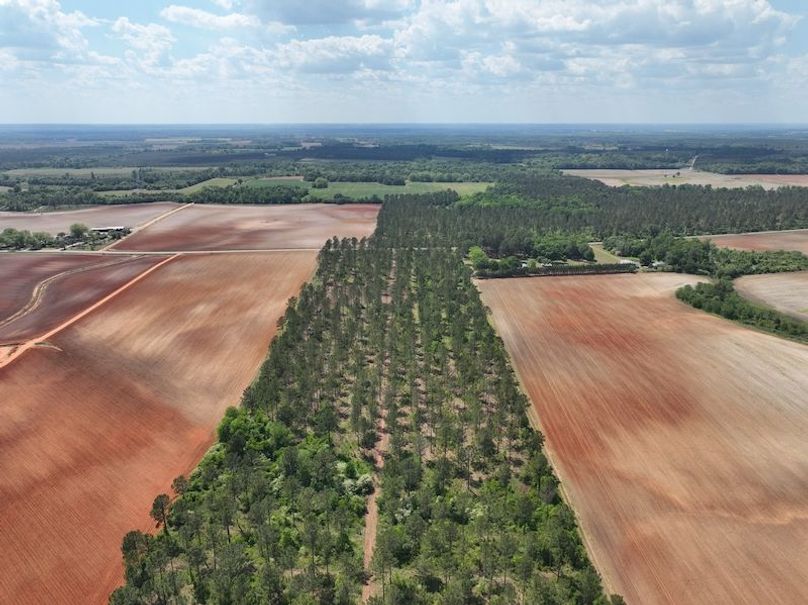 dji_fly_20260417_151722_517_1776455859543_photo