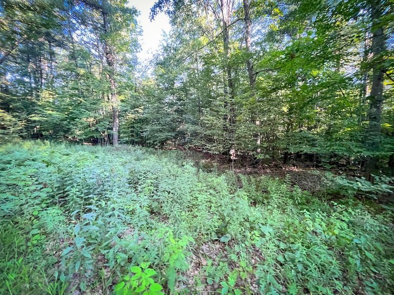 Tioga_82.5_Williams_Photos_23