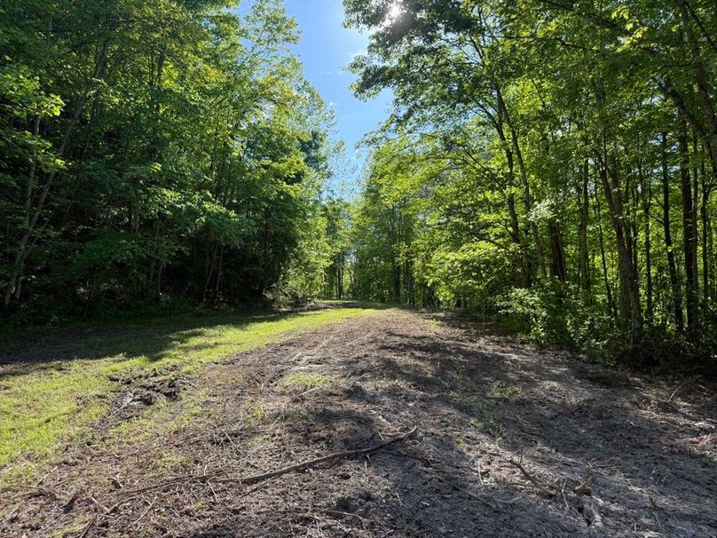 023 another of the open fields just before entering the woods