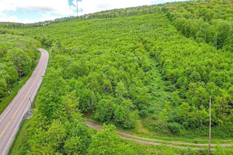 DJI_0006