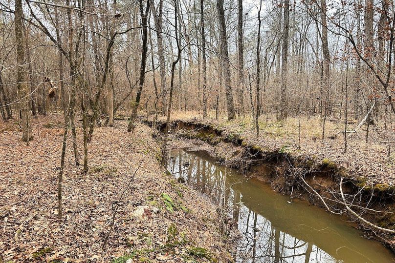 12 Creek