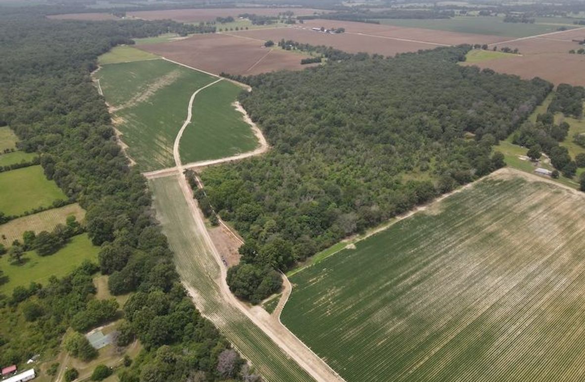 dji_fly_20240802_131336_231_1722622425745_photo