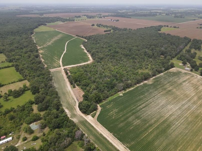 dji_fly_20240802_131336_231_1722622425745_photo