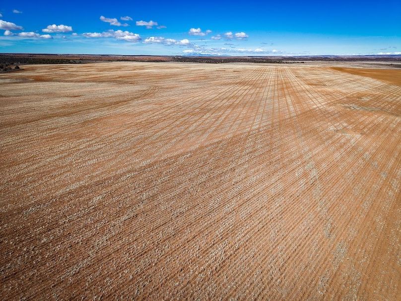 DJI_20260307140741_0099_D