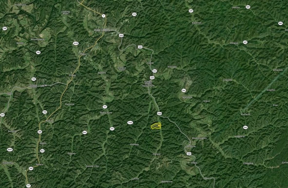 030 Morgan 113 Brown Land ID map zoomed out