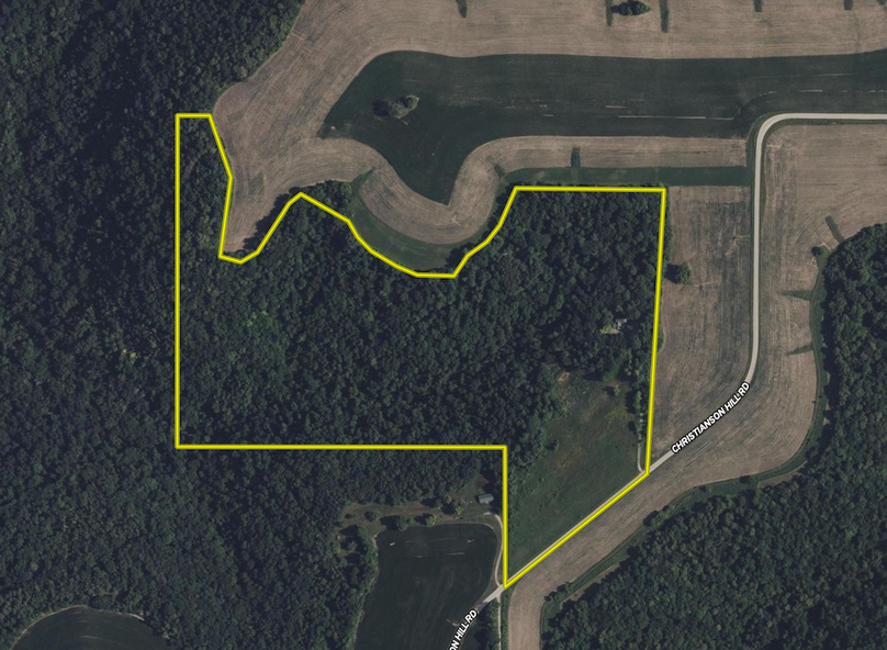 Screenshot 2025-08-17 at 3.07.56 PM