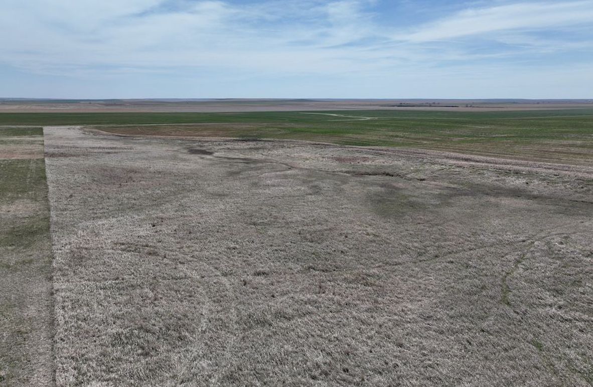 DJI_0353
