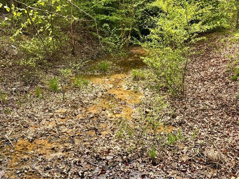 79A3F56D-9659-4C94-8979-59A1BD534437_1_105_c-2