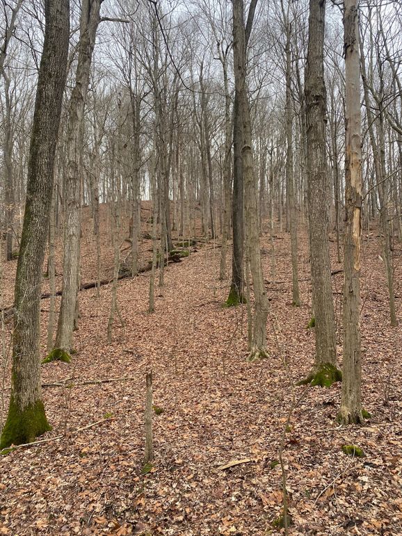 Greenup Ky Mauk 46.15 09