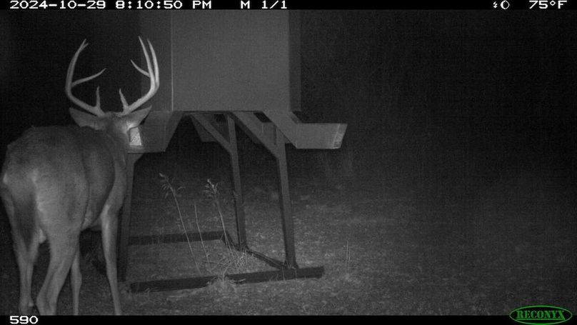 Copy of 7aed44078b1b35f1c3d24217aa6bd693-large