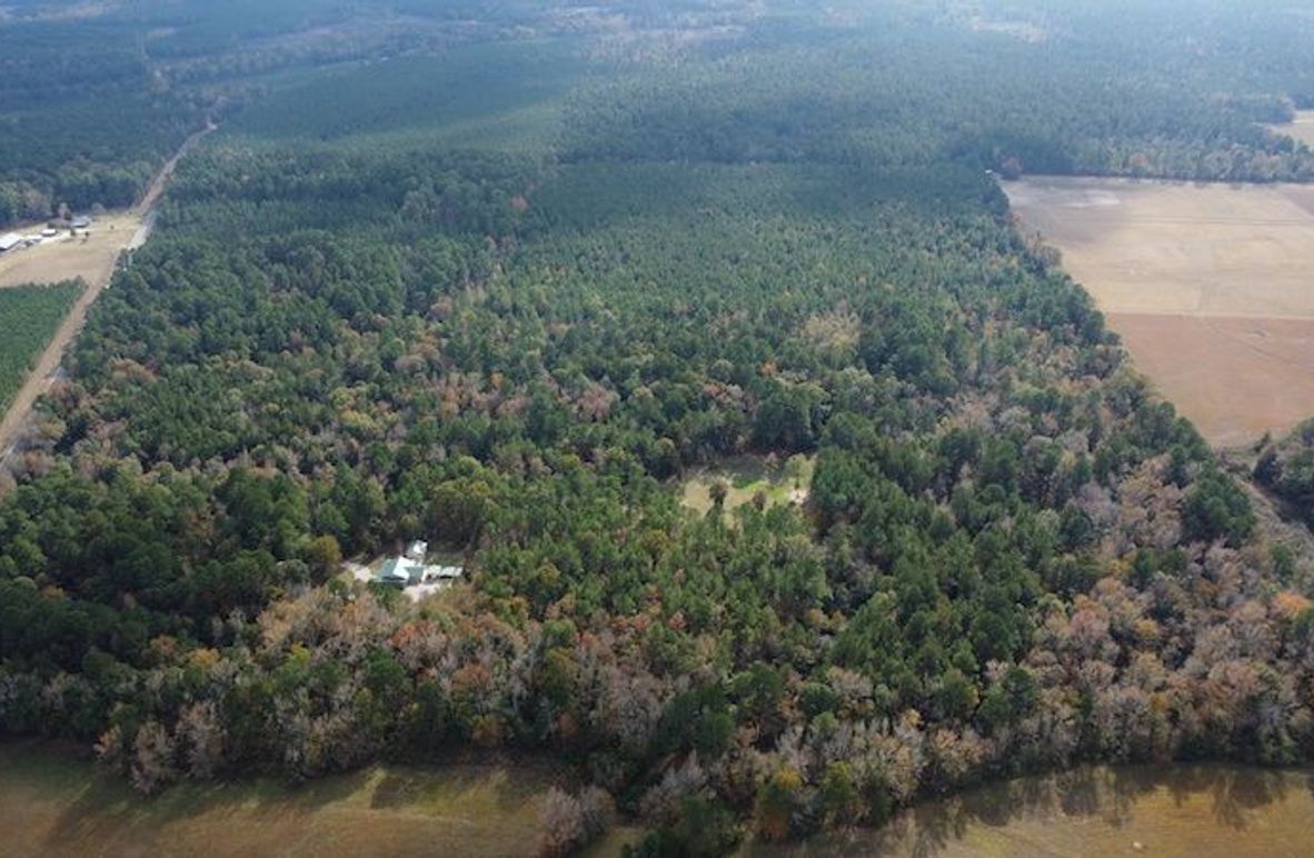 Dal_40_Denton20251113_0341