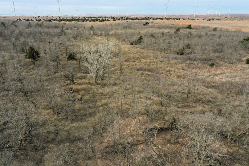 DJI_0579